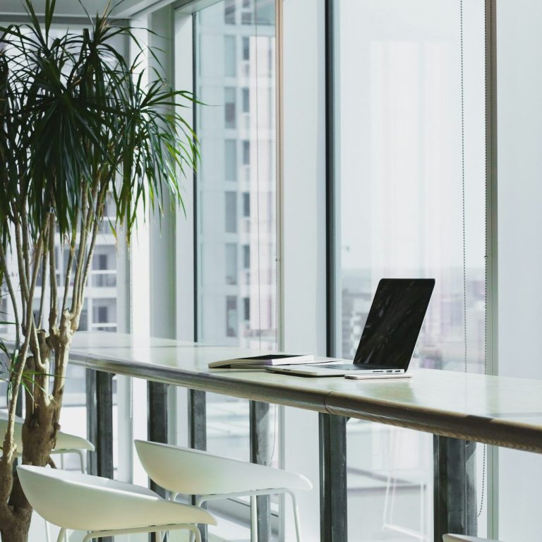 Moderne Büroeinrichtung mit einem Laptop und einer großen Pflanze am Fenster. Hier bieten sich Einzel- und Gruppencoachings an.